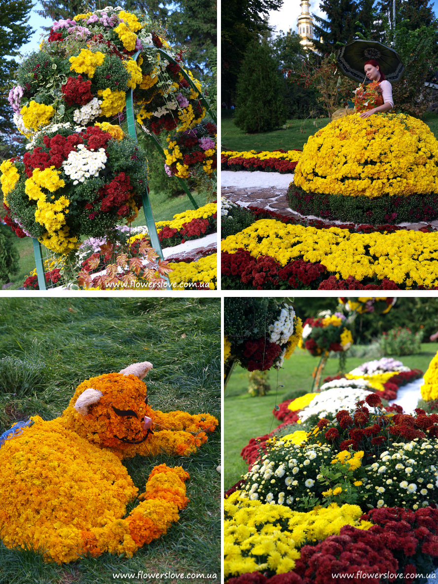 vystavka_chrysantem_2012