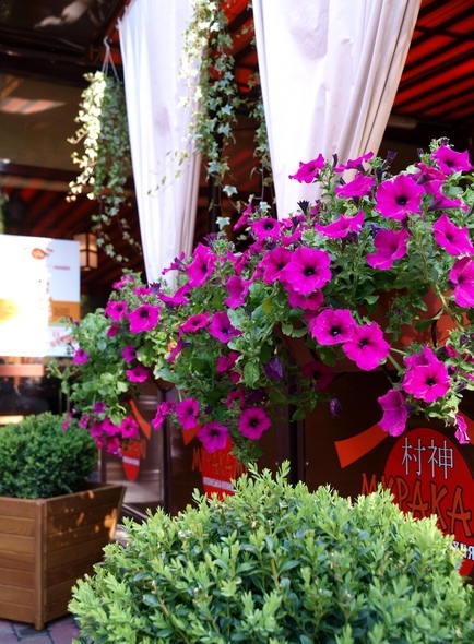 flowerslove_oformlenie_restorana
