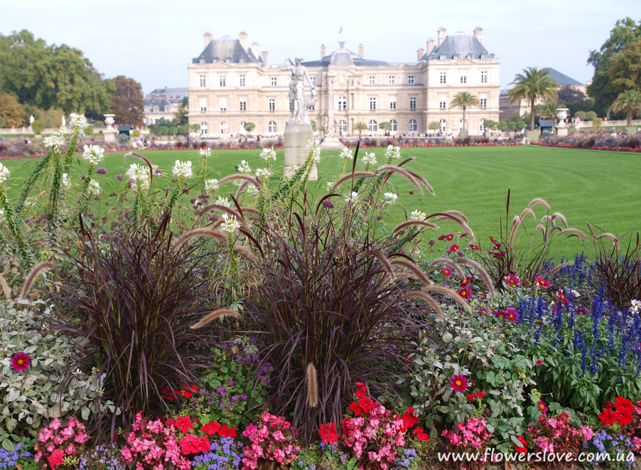 paris_garden