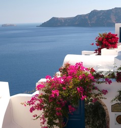 Греция – страна, утопающая в цветах и пряных ароматах!